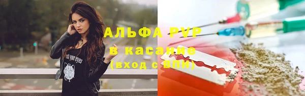 винт Елабуга